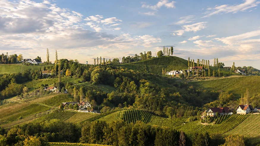 Südsteirische Weinstraße mit Weinbergen und Winzerhöfen